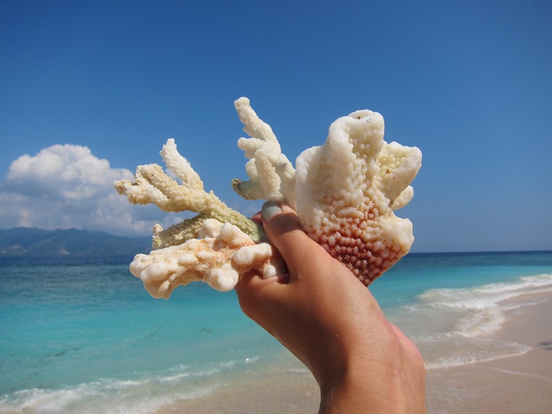 Лена фотографирует кораллы
